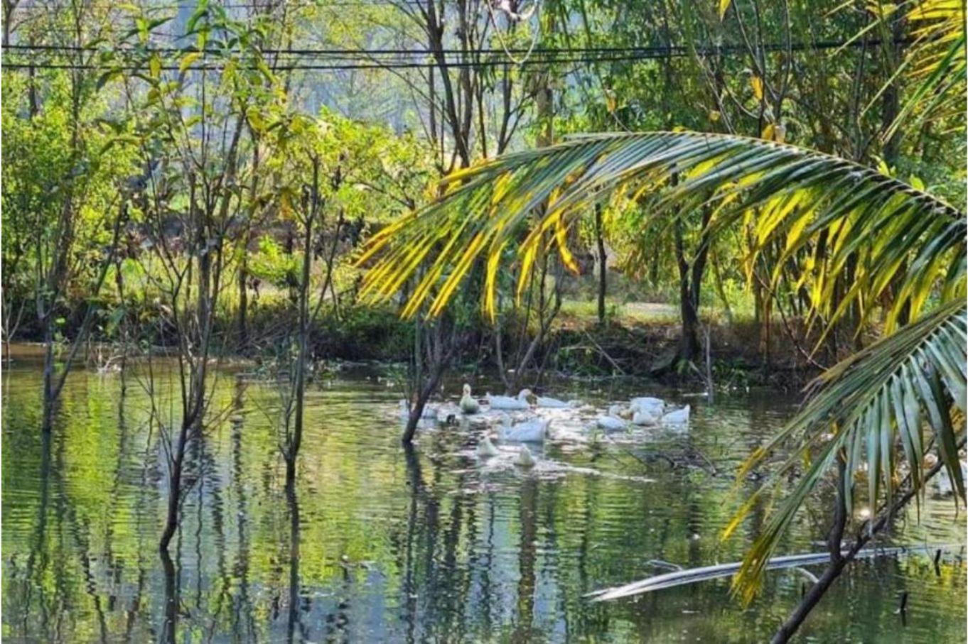 فيلا Trang An Retreat نينه بينه المظهر الخارجي الصورة